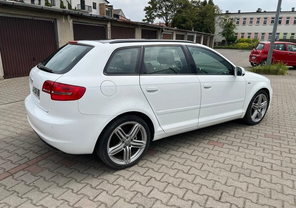 Audi A3 cena 33800 przebieg: 299000, rok produkcji 2010 z Krotoszyn małe 172